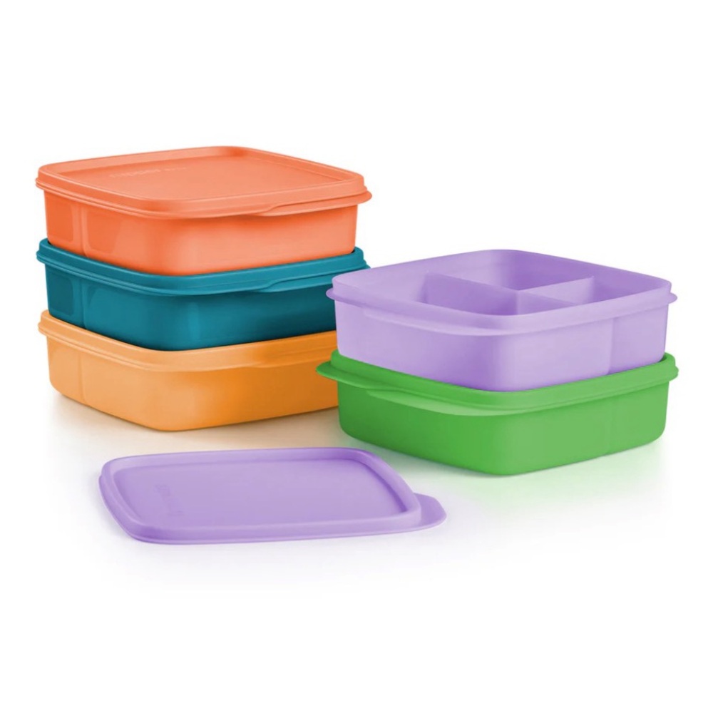Tupperware Lunch-It Container Set